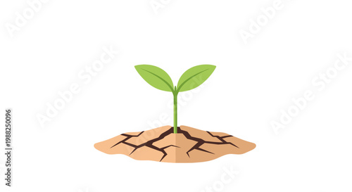 A single green sprout growing from cracked dry desert soil. EPS Editable. Vector Illustrations.