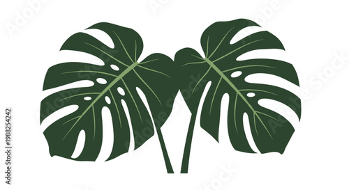 Monstera deliciosa leaves displayed as a symmetrical pair on a clean white background in a flat illustration style.