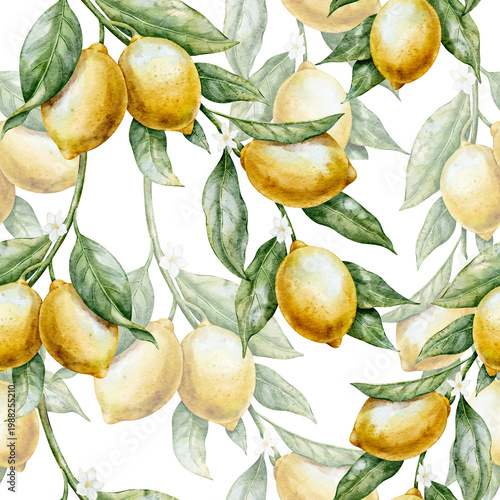 Lemon seamless watercolor Pattern with Citrus branches, leaves and blossoms. Illustration of botanical background with Fruits for textile, packaging, wallpaper, kitchen decor and summer branding.