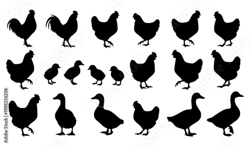 Farm poultry silhouette collection vector chickens ducks geese bird icon set