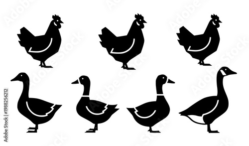 Minimal poultry silhouettes vector chicken duck goose simple farm bird icons