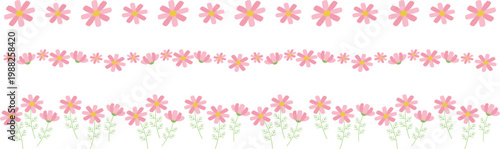 コスモスのライン3種セット