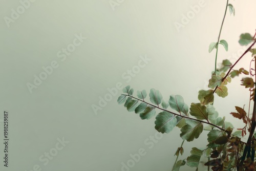 Delicate green leaves against a soft pastel background