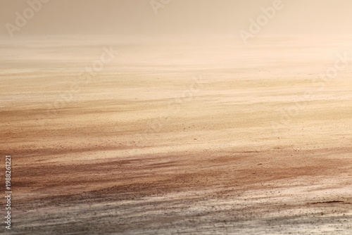 Serene desert landscape with golden sands and soft textures at sunset
