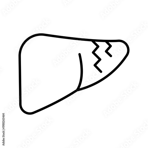 Liver organ icon. Healthcare and anatomy line symbol. Black and white.