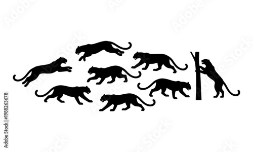 Black panther silhouettes in multiple poses on white background