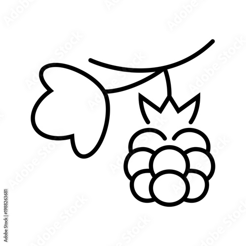 Raspberry fruit icon. Food and berries line symbol. Black and white.
