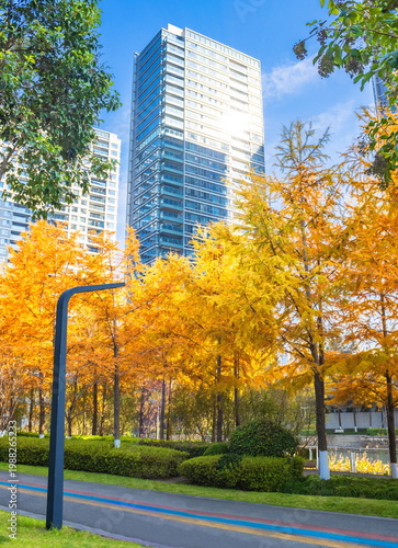 Autumn landscape of a modern city. China.
