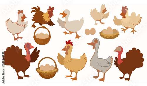 Funny cartoon farm birds vector set chickens ducks geese turkeys eggs illustration