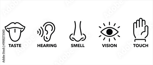 Five human senses icon set, minimalist black line art of taste, hearing, smell, vision, and touch, educational sensory perception vector elements
