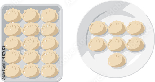 Vector illustration of dumplings served on rectangular tray and round plate showing portion and presentation differences