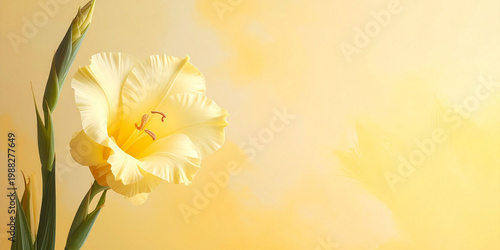 Yellow Gladiolus: This image showcases a close-up of a delicate yellow gladiolus flower, capturing its beauty and elegance against a softly blurred backdrop.