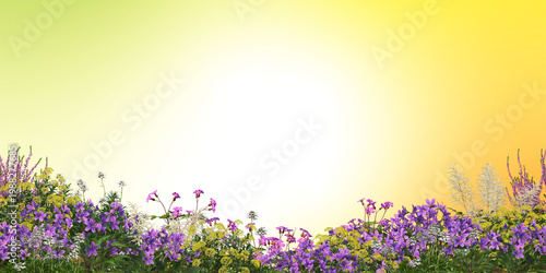 Floral Symphony: A vibrant tapestry of wildflowers blooms, their delicate petals and verdant stems contrasting against the warm gradient background, creating a spectacle of nature's artistry.