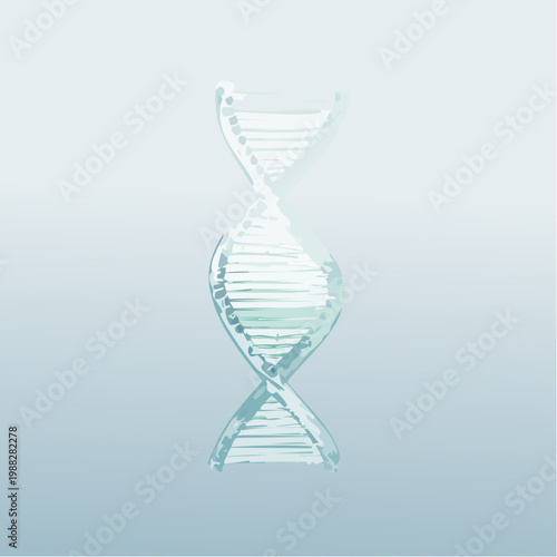 Eine transluzente DNA-Doppelhelix 