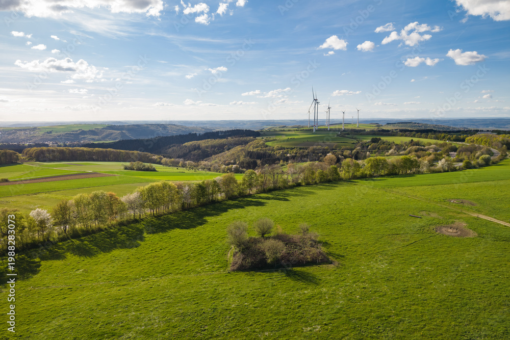 custom made wallpaper toronto digitalFürstengrab von Thom