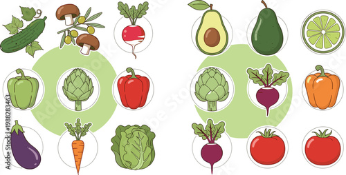 Fresh vegetables and fruits vector set including avocado, tomato, carrot, eggplant, radish, lime and greens in colorful hand drawn style