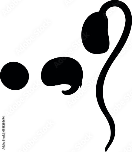 Soybean life cycle stages: from seed to sprout, minimalist black silhouette isolated on white