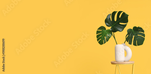 Vase with monstera leaves o...