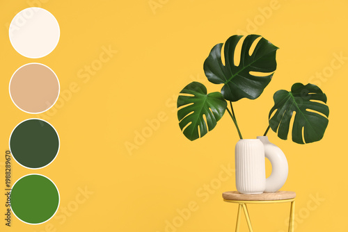 Vase with monstera leaves o...
