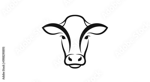 Black and white cow head portrait.