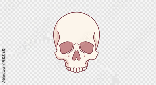 Cartoonish Human Skull Illustration with Pink Eye Sockets on Transparent Background