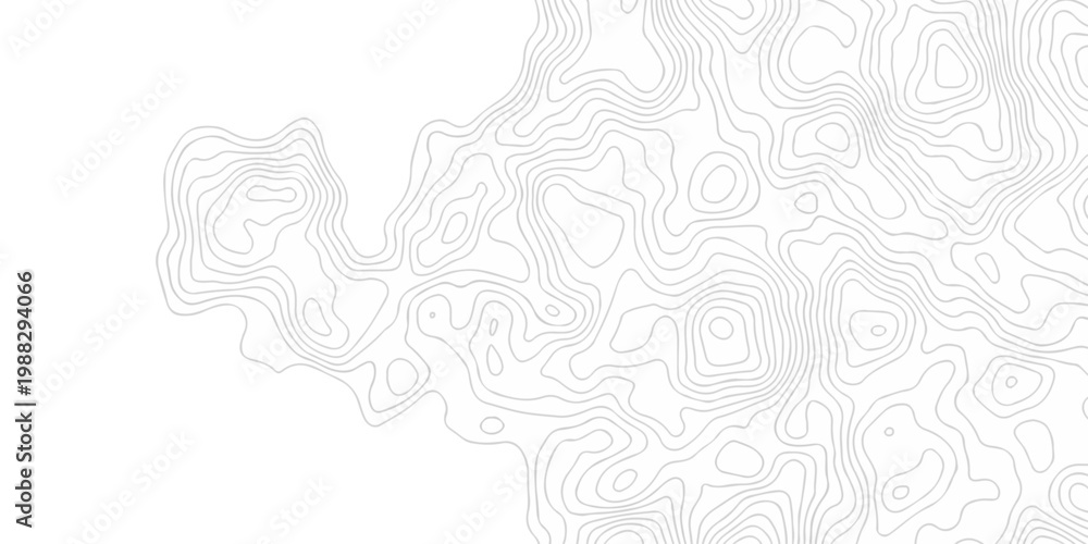 Fototapeta premium minimal paper area the pattern discovery topography map. topo map creative white wave grid stripe line map topography. vector geographic contour mounted map background.