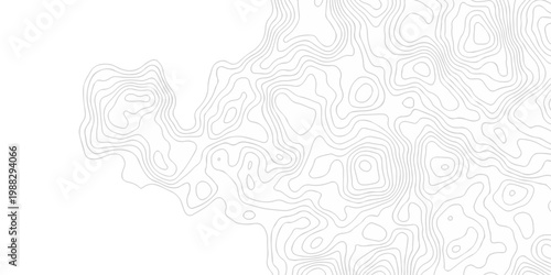 minimal paper area the pattern discovery topography map. topo map creative white wave grid stripe line map topography. vector geographic contour mounted map background.