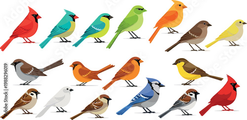 Colorful Bird Collection Illustration Featuring Cardinals, Sparrows, Finches, and More for Nature, Wildlife, and Educational Design