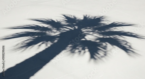 Striking shadow of a tropical palm tree extending across a sunlit, textured surface, perfectly capturing the essence of warm summer days and serene island getaways