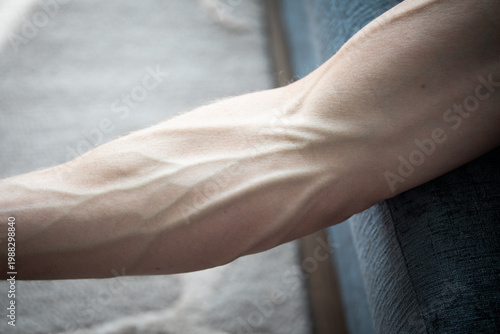 Closeup muscular arm veins natural lighting