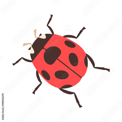 Bright red ladybug with black spots and simple details, representing luck and nature, isolated on white background vector illustration