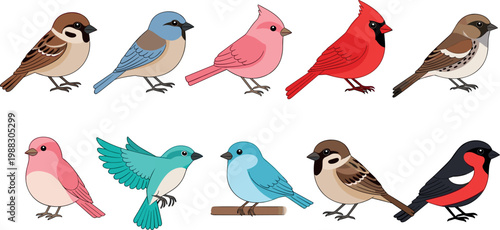 Colorful Bird Illustration Set Featuring Sparrows, Cardinals, and Bluebirds for Nature, Wildlife, and Educational Desig