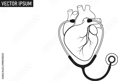 Human heart with stethoscope medical illustration healthcare concept clean minimal design 