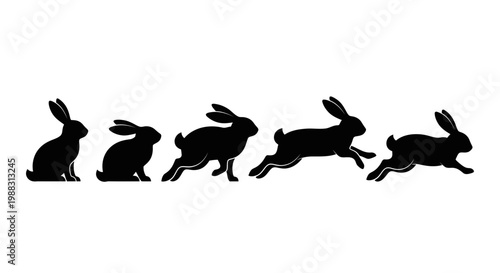 Rabbit Silhouettes Showing Progression of Movement Against a Clean White Background