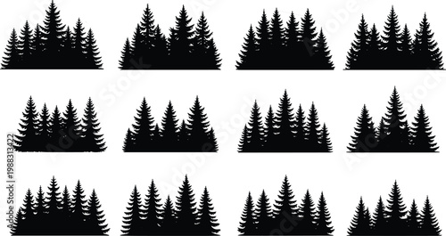 Coniferous tree silhouette illustration, pine forest artwork, natural woodland design concept, black and white landscape vector template