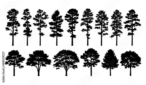 Forest Tree Silhouette Collection with Mixed Pine and Broadleaf Tree Shapes for Landscape Design, Nature Illustration, Woodland Scenes and Environmental Graphic Elements