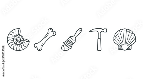 Paleontology and archaeology tools and fossils collection featuring line art icons of an ammonite, bone, brush, hammer, and shell, representing scientific discovery and excavation.