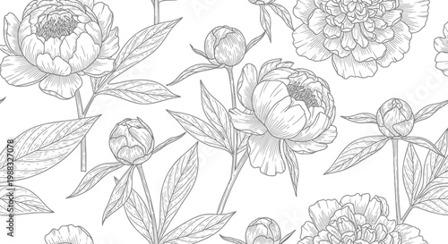 Floral pattern, peony flowers, line art design, botanical illustration, seamless border