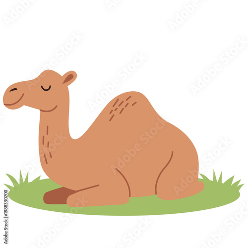Cute Camel Animal Eid Adha
