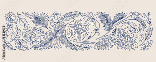 Foto Minimal hand drawn tropical leaf doodle, Expressive brush line monstera sketch,