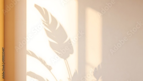 A serene and peaceful interior scene with a plant casting a shadow on the wall