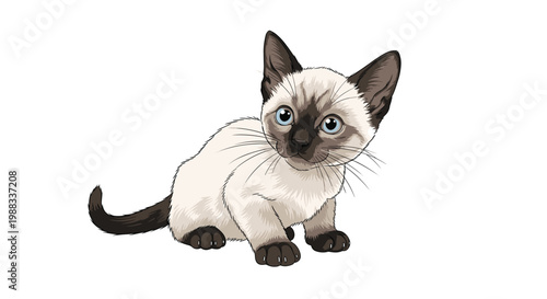 Adorable siamese kitten with blue eyes and point coloring sits alertly on a clean white background in a cute illustration style.