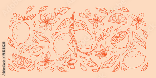 Quadro su tela Minimal hand drawn lemon fruit, Expressive brush line citrus doodle, Clean layou
