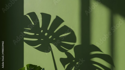 A close-up view of a plant's shadow on a wall with a green tint