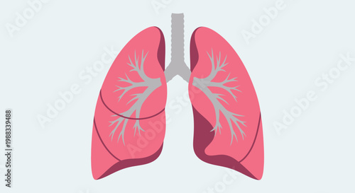 Anatomy Illustration: Depiction of Human Lungs in a Medical or Scientific Context