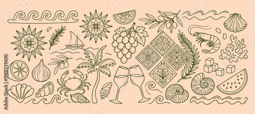 Tropical palm and fruit doodles, summer beach nature line art, green exotic plant illustrations, island vacation graphic elements, Mediterranean nature vector collection, hand drawn tropical icons, fr