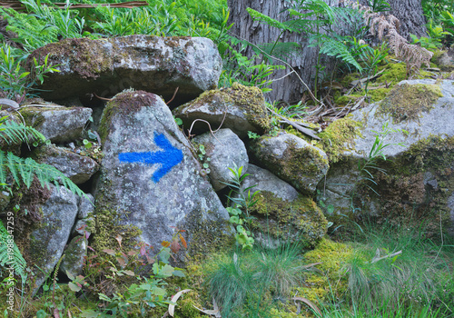 Blue arrow hand painted on a stone on a mountain trail indicating the correct direction