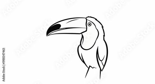 Line drawing of a toucan with a large beak and detailed eye