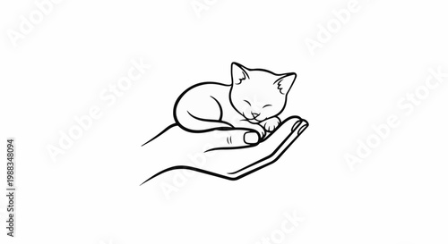 Gentle embrace A tiny kitten slumbers peacefully in an open human hand