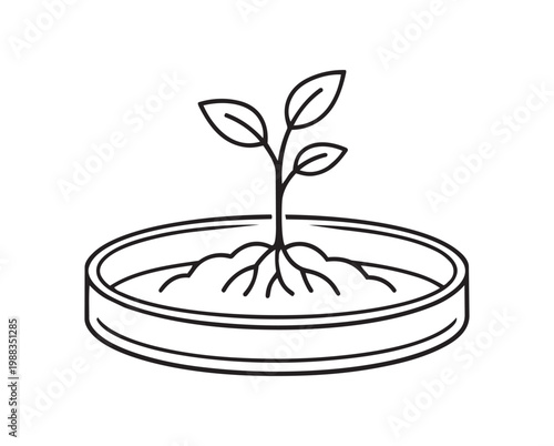 Plant seedling growing in petri dish symbolizing biotechnology research laboratory experiment concept